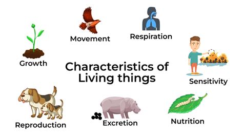 Characteristics of Living Things .